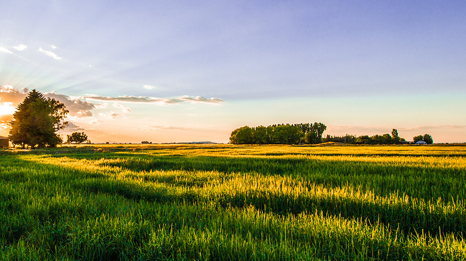 Idaho Sunset